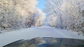 visie van de voorruit van een auto het rijden Aan een besneeuwd weg met veel met sneeuw bedekt bomen.