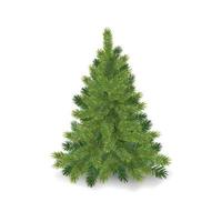 Realistic christmas tree Fluffy green pine tree vector