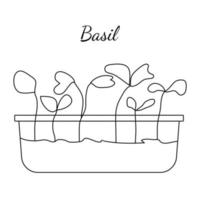 Hand drawn basil micro greens. Vector illustration in sketch style isolated on white background. Vector EPS10