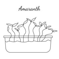 Hand drawn amaranth micro greens. Vector illustration in sketch style isolated on white background.