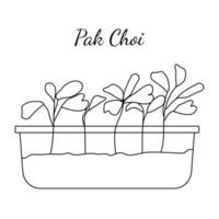 Hand drawn pak choi micro greens. Vector illustration in sketch style isolated on white background. Vector EPS10