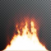 Realistic fire flames on transparent background. Special effects. Vector illustration. Translucent elements. Transparency grid