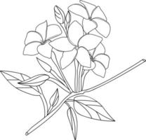 Black and white outline vector coloring book page for adults and children flowers frangipani with leaves.