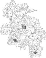 Hand-drawn peony flower bouquet vector sketch illustration engraved ink art botanical leaf branch collection isolated on white background coloring page and books.