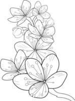 Cherry blossom flowers and branch vector illustration. hand Drawing vector illustration for the coloring book or page Black and white engraved ink art, for kids or adults.