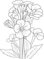 A hand-drawn primrose loring book of vector illustration artistic, blossom  flowers narcissus isolated on white background, sketch art leaf branch botanic collection for adults and children.