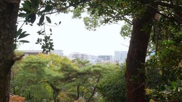 Panoramablick auf die Stadt Fukuoka durch den Baumhainwald im Herbst tagsüber video