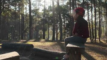 adorable niñita con ropa abrigada y sombrero de punto rojo se sienta abrazándose en una silla de madera en un bosque de pinos en invierno con luz solar. linda niña divirtiéndose en un hermoso parque de invierno. video