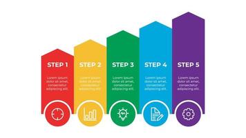 vector de elemento infográfico con cinco opciones, se puede utilizar para paso, flujo de trabajo, diagrama, banner, proceso, plantilla de presentación de negocios, línea de tiempo.