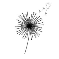 Vector Hand drawn sketch of dandelion flower illustration on white background