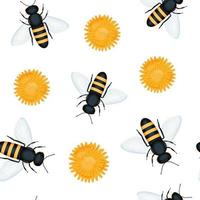 Seamless pattern with bee and dandelion flower vector