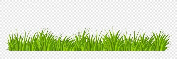 Green grass border flat style design. Cartoon summer green grass nature landscape field. Vector illustration