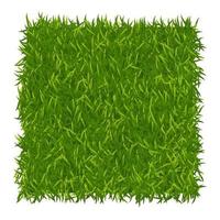 Green grass background. Lawn nature. Abstract field texture. Green grass texture. Vector illustration