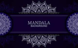 Luxury mandala background vector