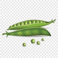 Realistic green pea isolated vector illustration