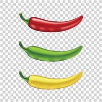 Set of realistic chili vector illustration