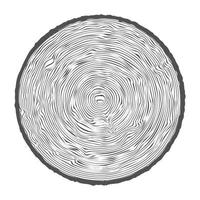 Tree ring wooden log. Circle annual stump texture and topography circle. Outline timber slice. Vector