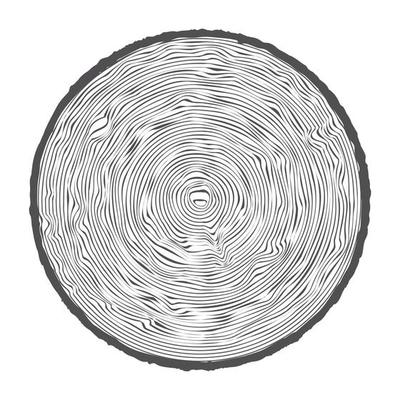 Tree ring wooden log. Circle annual stump texture and topography circle. Outline timber slice. Vector