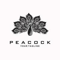 peacock line art design logo illustration icon vector