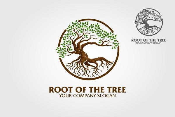 Root of the Tree logo illustrating a tree roots, branches are connected in a circular layout. Excellent logo template for fashion, landscape, gardening business or in numerous fields related to nature