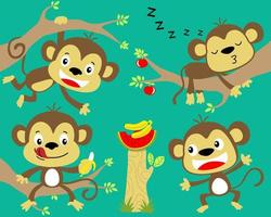 Vector set of funny monkey cartoon in tree branches with fruits