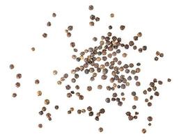 balck pepper isolated on white background. Black peppercorns macro closeup top view photo