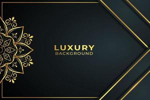 mandala luxury background vector