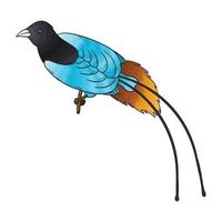 vector blue bird of paradise, a beautiful bird from indonesian papua