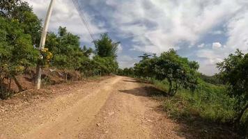 cortado da estrada rural 4031 é um caminho até a montanha no subdistrito de wang yao. distrito de dan chang, suphan buri, tailândia video
