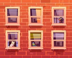 Pets in windows, cat, dog and parrot on windowsill