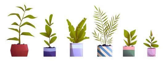 Home and office decorative plants in flowerpots vector