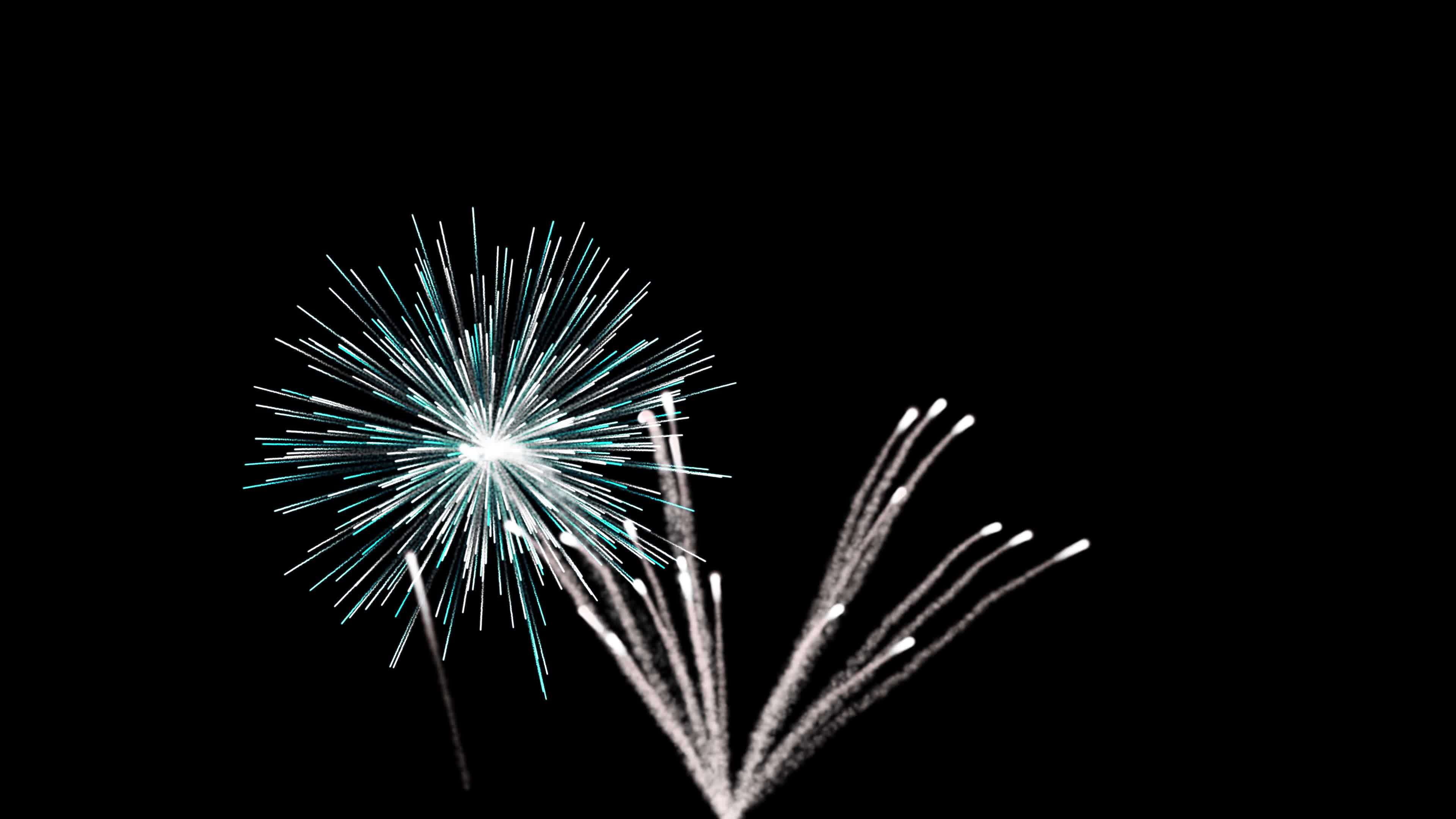 Abstract Multicolored Realistic Fireworks On Black Background, Firework