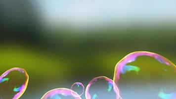 burbujas de jabón transparentes abstractas que vuelan hacia arriba, brillantes, iridiscentes y hermosas festivas en el fondo de la naturaleza. fondo abstracto. video en alta calidad 4k, diseño de movimiento