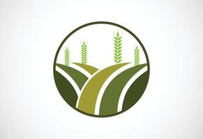 agricultura creativa, agronomía, granja de trigo, campo agrícola rural, diseño de logotipo de cosecha natural, plantilla de diseño vectorial vector