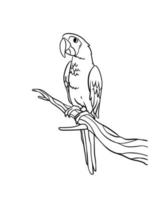 Parrot Isolated Coloring Page for Kids vector