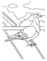 Pigeon Coloring Page for Kids vector