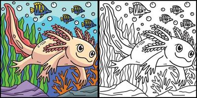 Axolotl Coloring Page Colored Illustration vector