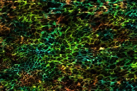 Abstract 3D Glossy Background,Abstract Multicolor texture,Colorful Wavy Liquid Background,3D Illustration,Modern Background Illustration photo