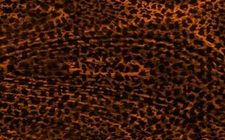 Abstract Leopard background,Abstract animal skin texture photo