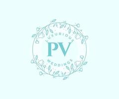 plantilla de logotipos de monograma de boda con letras iniciales pv, plantillas florales y minimalistas modernas dibujadas a mano para tarjetas de invitación, guardar la fecha, identidad elegante. vector