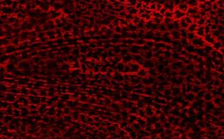 Abstract Leopard background,Abstract animal skin texture photo