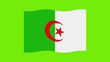 Algerien-Flagge weht auf grünem Hintergrund video