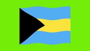 bandeira das Bahamas acenando no fundo da tela verde video