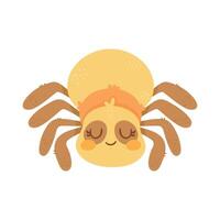 cute spider insect vector