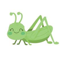 grasshopper little insect garden vector