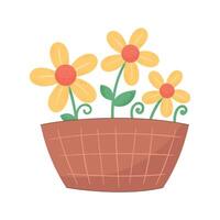 yellow flowers in pot vector