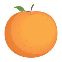 fresh orange citrus fruit vector