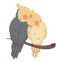 pájaros animales pareja amor vector