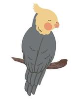 male little bird vector