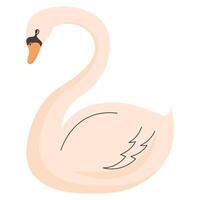 swan little bird vector